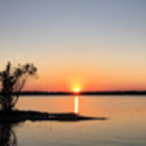 Meet your Posher, Dore8310